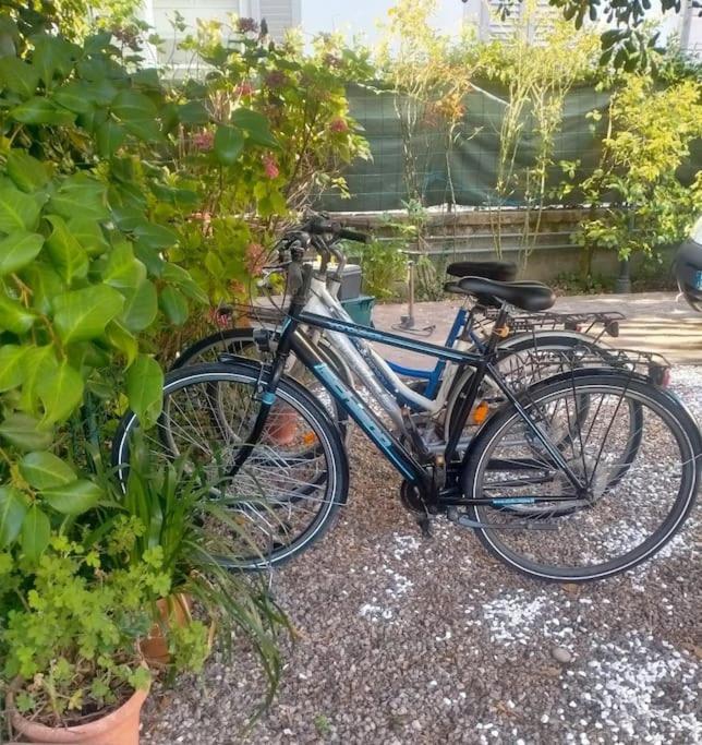 Just Outside The Wall: Free A/C, Bikes And Wifi Lucca Dış mekan fotoğraf